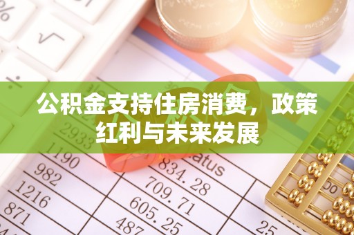 绥化公积金支持住房消费，政策红利与未来发展