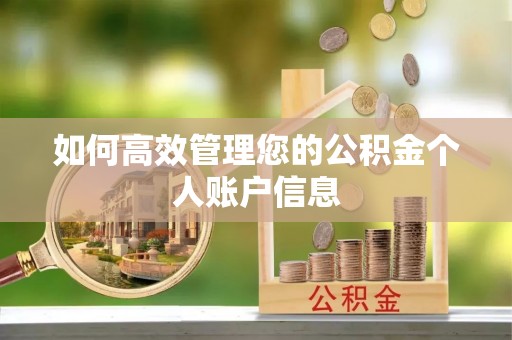 绥化如何高效管理您的公积金个人账户信息
