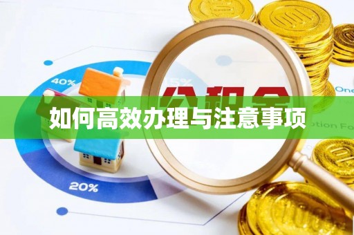 绥化如何高效办理与注意事项