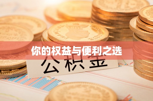 绥化你的权益与便利之选