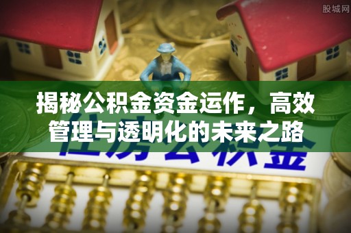 绥化揭秘公积金资金运作，高效管理与透明化的未来之路