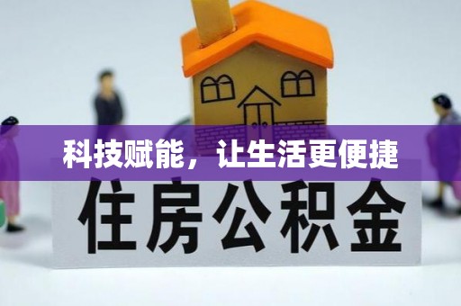 绥化科技赋能，让生活更便捷