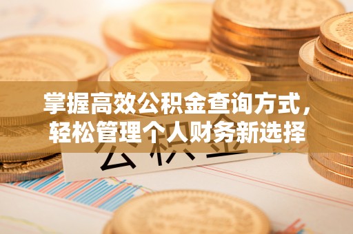 绥化掌握高效公积金查询方式，轻松管理个人财务新选择