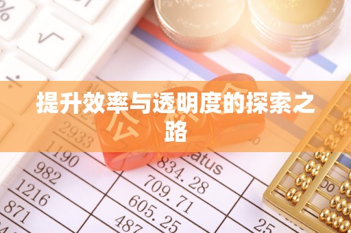 绥化提升效率与透明度的探索之路