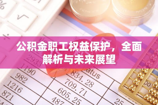 绥化公积金职工权益保护，全面解析与未来展望