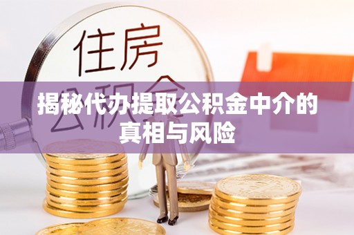 绥化揭秘代办提取公积金中介的真相与风险