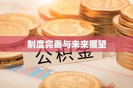 绥化制度完善与未来展望