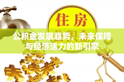 绥化公积金发展趋势，未来保障与经济活力的新引擎
