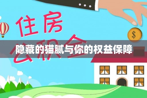 绥化隐藏的猫腻与你的权益保障