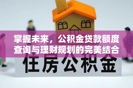 绥化掌握未来，公积金贷款额度查询与理财规划的完美结合