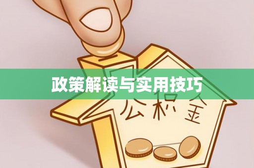绥化政策解读与实用技巧