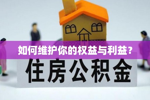 绥化如何维护你的权益与利益？
