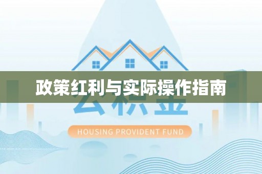 绥化政策红利与实际操作指南
