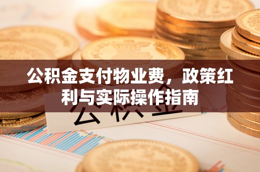 绥化公积金支付物业费，政策红利与实际操作指南