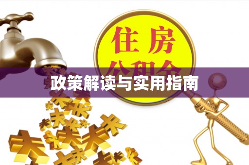 绥化政策解读与实用指南