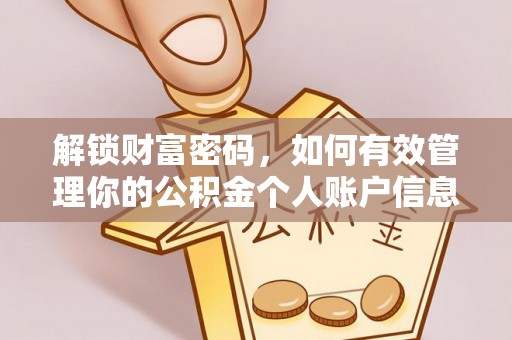 绥化解锁财富密码，如何有效管理你的公积金个人账户信息