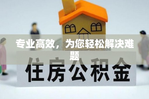 绥化专业高效，为您轻松解决难题