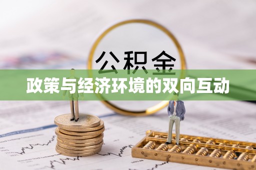 绥化政策与经济环境的双向互动