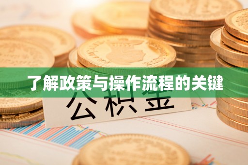 绥化了解政策与操作流程的关键