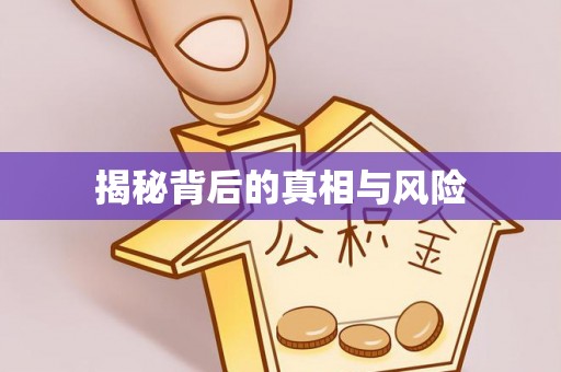 绥化揭秘背后的真相与风险