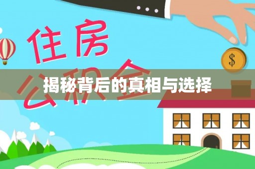 绥化揭秘背后的真相与选择
