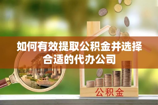 绥化如何有效提取公积金并选择合适的代办公司