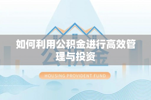绥化如何利用公积金进行高效管理与投资