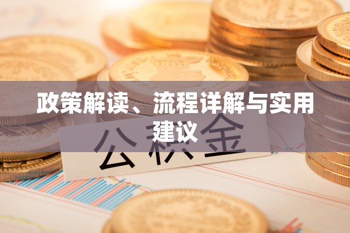 绥化政策解读、流程详解与实用建议