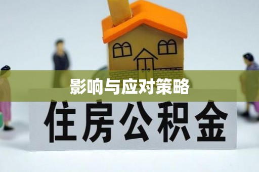 绥化影响与应对策略