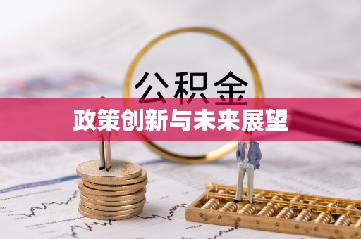 绥化政策创新与未来展望